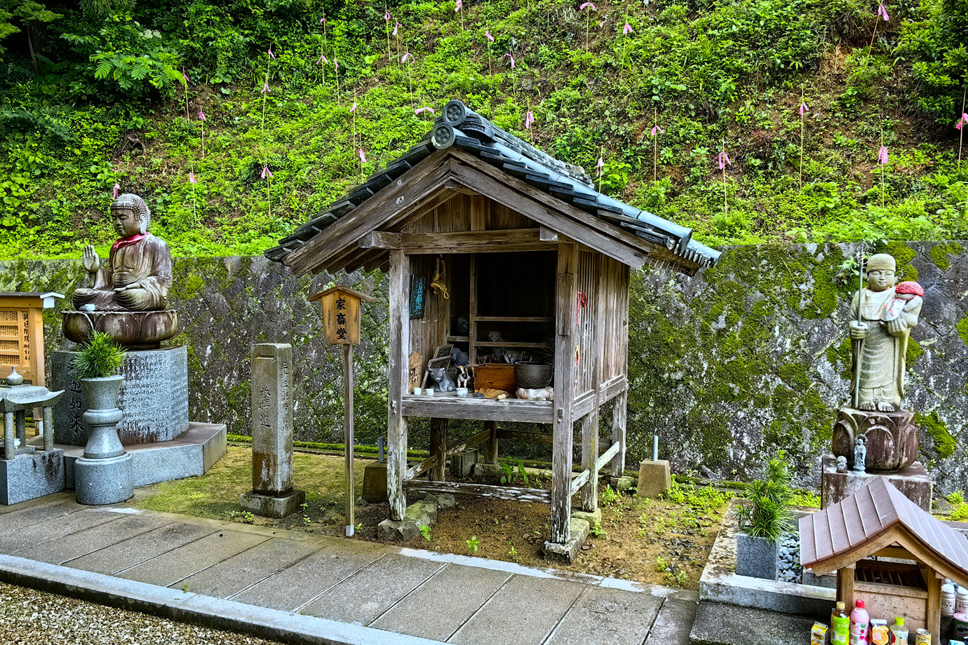 四國遍路-一{王果}山佛木寺